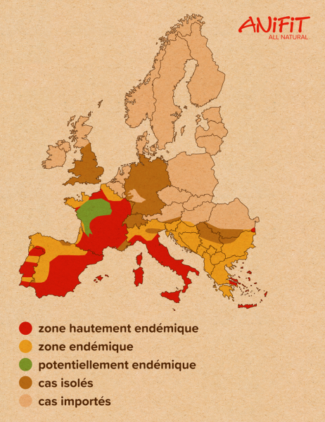 Carte de la répartition de la leishmaniose en Europe